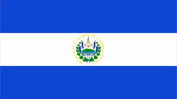 منصات أبحاث السوق في السلفادور