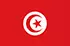 منصات على الإنترنت في تونس