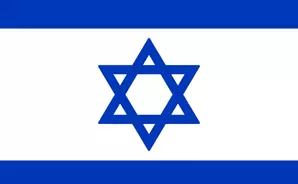 منصات أبحاث السوق في إسرائيل