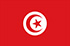 منصات على الإنترنت في تونس