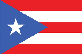 منصات على الإنترنت في بورتوريكو