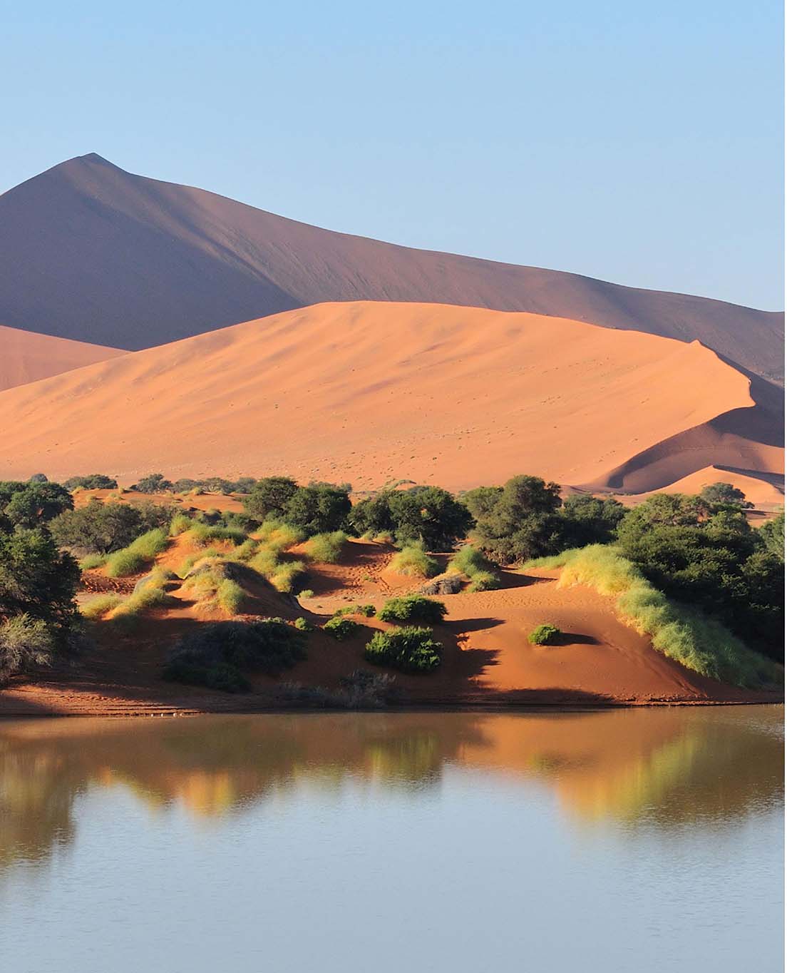 لمحة عن ناميبيا