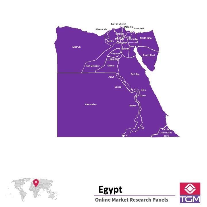 منصة عبر الانترنت في مصر