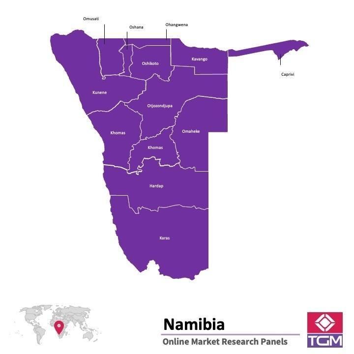 منصة عبر الانترنت في ناميبيا