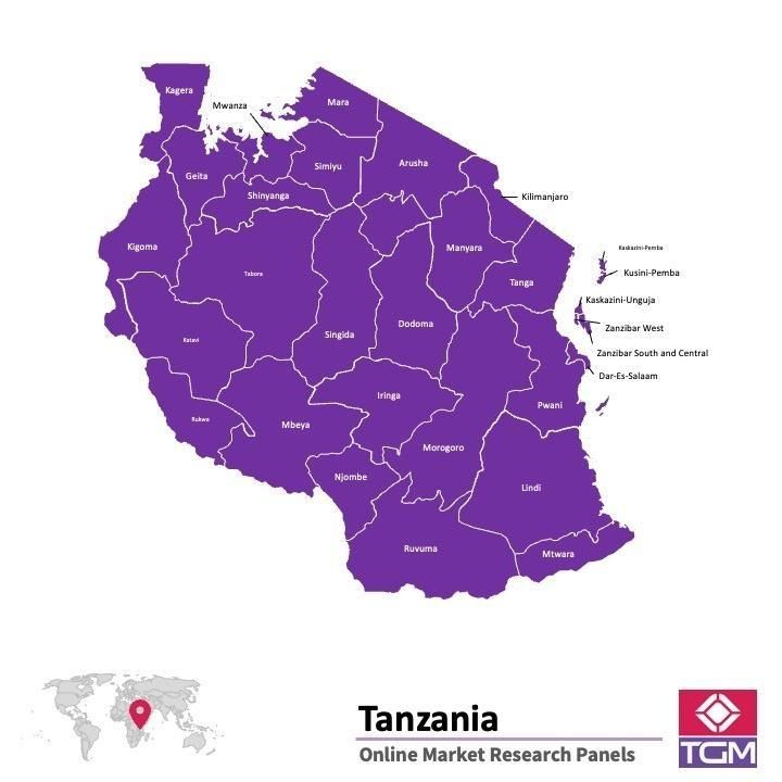 منصة عبر الانترنت في تنزانيا