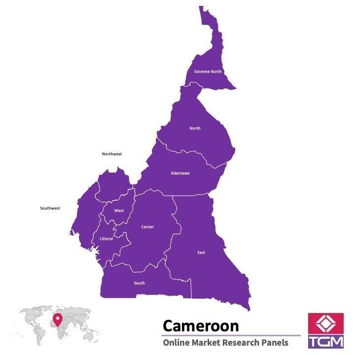 منصة عبر الانترنت في الكاميرون