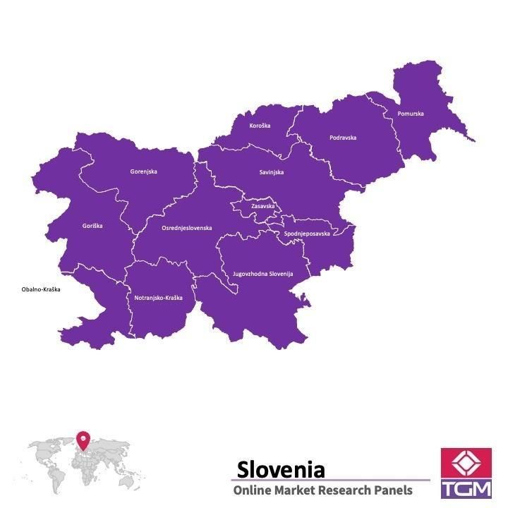 منصة عبر الانترنت في سلوفينيا