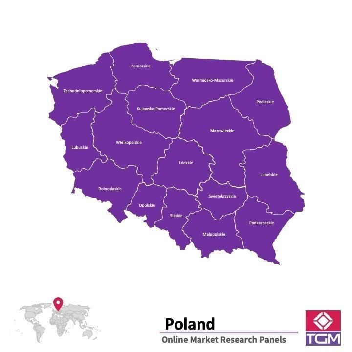 منصة عبر الانترنت في بولندا
