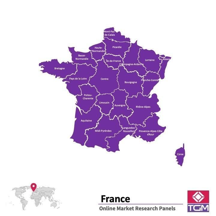 منصة عبر الانترنت في فرنسا