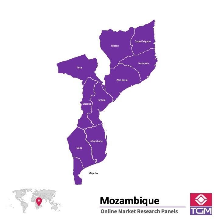 منصة عبر الانترنت في موزمبيق