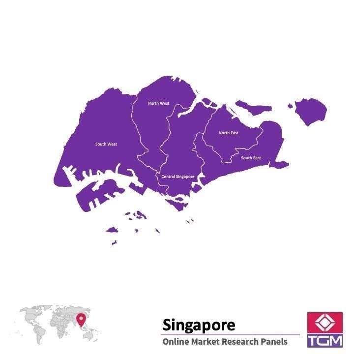 منصة عبر الانترنت في سنغافورة
