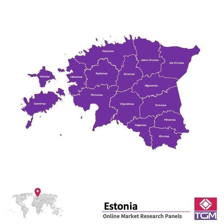 منصة عبر الانترنت في إستونيا