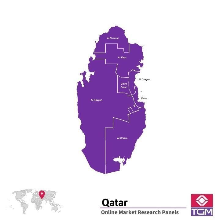 منصة عبر الانترنت في قطر