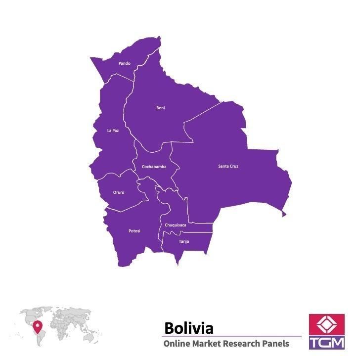 منصة عبر الانترنت في بوليفيا