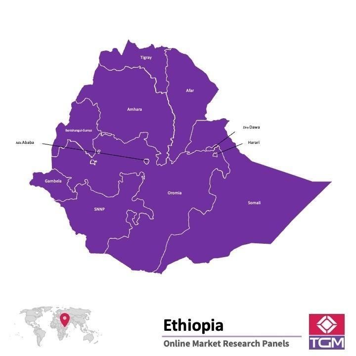 منصة عبر الانترنت في أثيوبيا