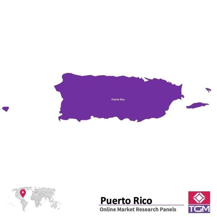منصة عبر الانترنت في بورتوريكو