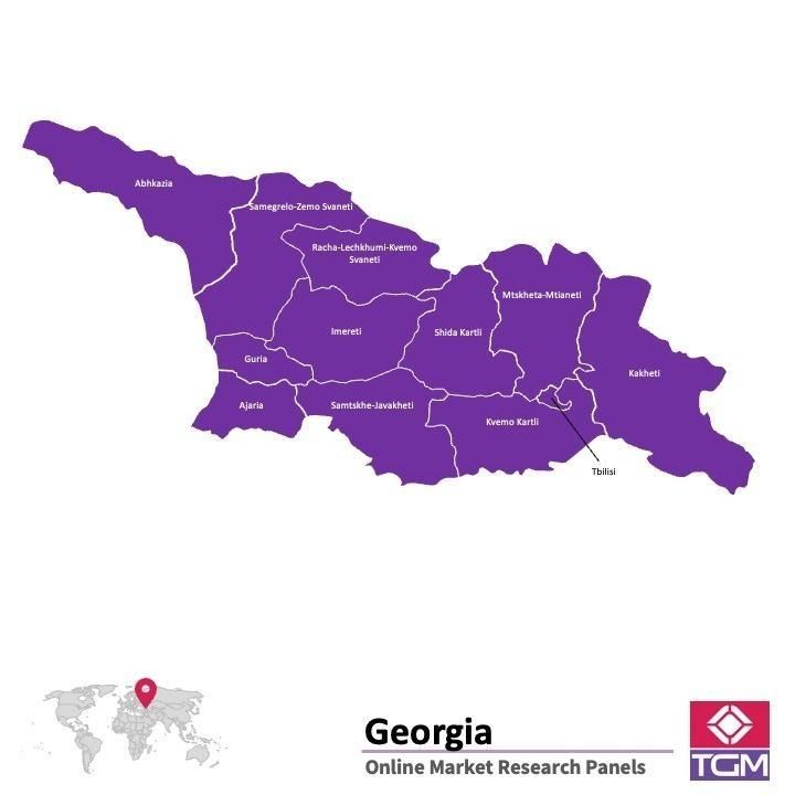 منصة عبر الانترنت في جورجيا