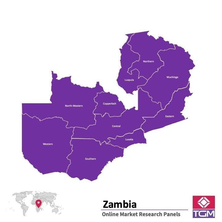 منصة عبر الانترنت في زامبيا