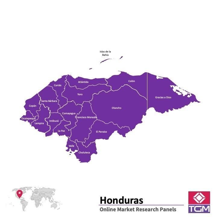 منصة عبر الانترنت في هندوراس