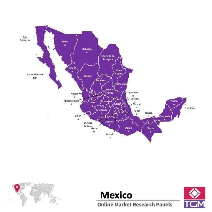 منصة عبر الانترنت في المكسيك