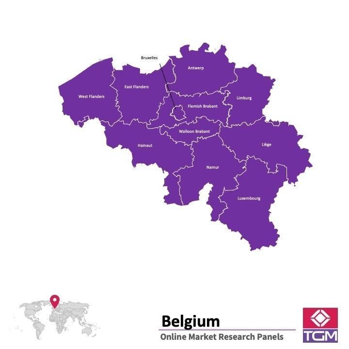 منصة عبر الانترنت في بلجيكا